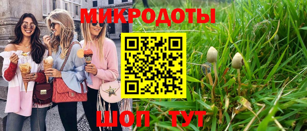 Галлюциногенные грибы Psilocybine cubensis Серпухов