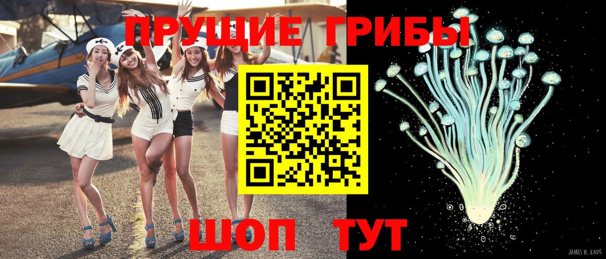 Серпухов  Псилоцибиновые грибы мухоморы  Вход с VPN 